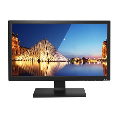 Perfect Display Technology PA200WE 19.53 Inch CCTV Monitor