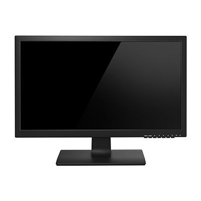 Perfect Display Technology PM200WE 19.53 Inch HDMI Monitor