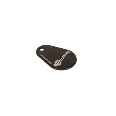 Gallagher 125 KHz Keyfob Epoxy (Black)