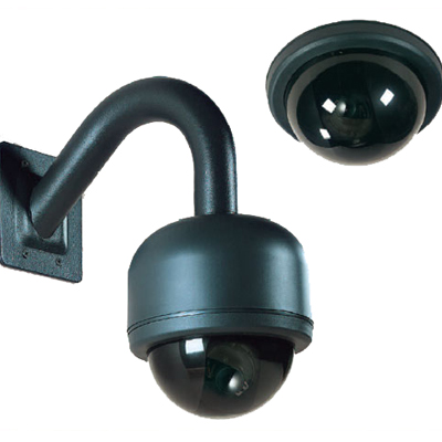 Linear D5WD211P-W 5-inch Indoor Fixed Dome Camera