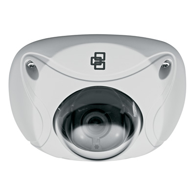 TruVision TVD-N210W-4-N Day/Night IP Dome Camera