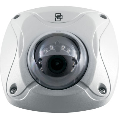 TruVision TVW-1101 1.3 MP True Day/Night Outdoor IR Wedge IP Dome Camera