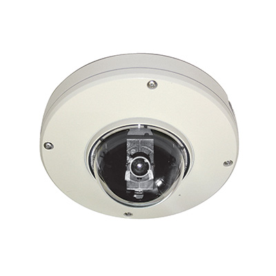 Vicon CE202D-WN Day/night Outdoor Camera Dome