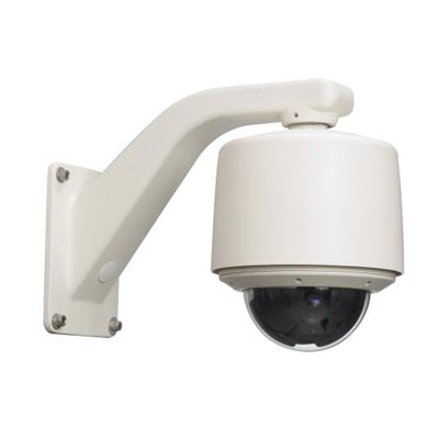 Vicon SVFT-M36 1/4 Inch Day/night Outdoor Dome Camera