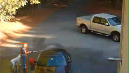 Dogs And Water-iCVR's Analytics Ignores Non-threat Objects