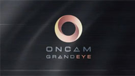 Oncam Grandeye 360° Surveillance Loss Prevention Example