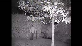 Samsung Techwin Adaptive IR lighting in SIR-4160