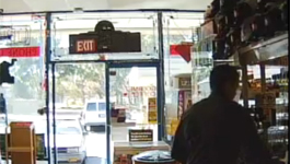 Dallmeier Electronic  Shop - CCTV IP Network Cameras And Recorders.flv