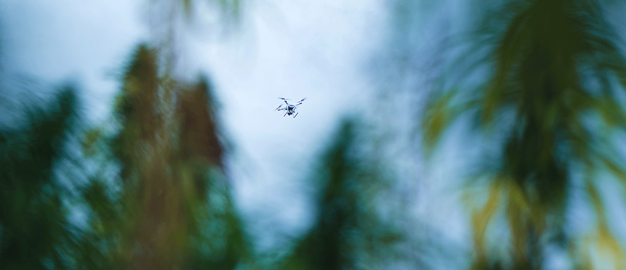 Surveillance Solutions Ensure Cannabis Compliance, Virtual events by Salient Systems