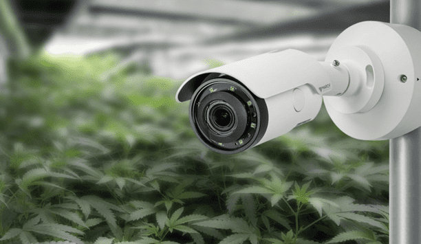 Securing Your Growth With Video Surveillance