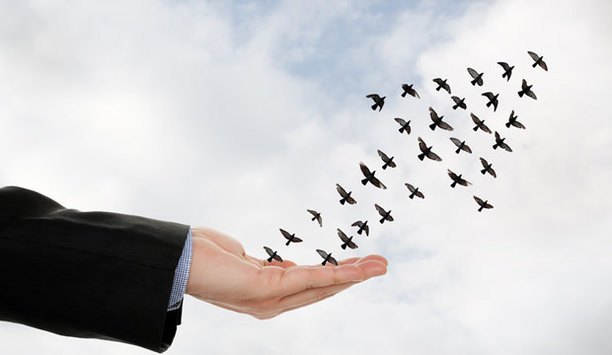 How To Migrate To IP Surveillance From Analog: Strategies & Tips